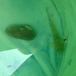 梁子湖战利品