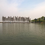 东湖划船