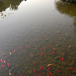 WP_20141025_10_02_10_Pro