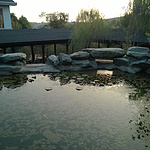 WP_20141025_17_07_48_Pro