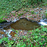 WP_20141108_10_47_08_Pro