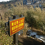 WP_20141108_15_07_11_Pro