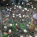 WP_20150228_15_43_36_Pro