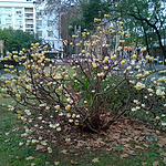 WP_20150228_17_33_10_Pro