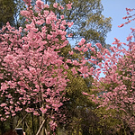 WP_20150307_14_09_05_Pro