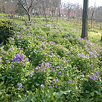 WP_20150307_14_19_55_Pro