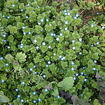 WP_20150307_14_20_38_Pro