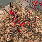 WP_20150307_14_34_23_Pro