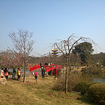 WP_20150307_14_37_59_Pro