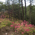 WP_20150411_15_10_49_Pro