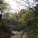 WP_20150411_15_49_49_Pro