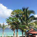 8C7737AB1106BF944A2A4032CCCFC603