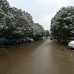 下雪啦