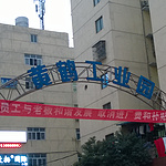 是浙江温州的那个黄鹤吗?