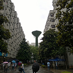 宝宝节日快乐!